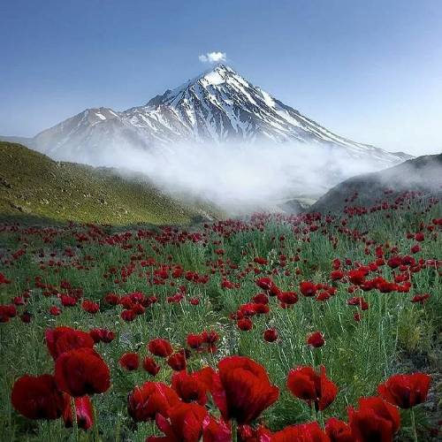 بهنام حسن زاده و جابر رجبی بزنم شمه در و دروازه